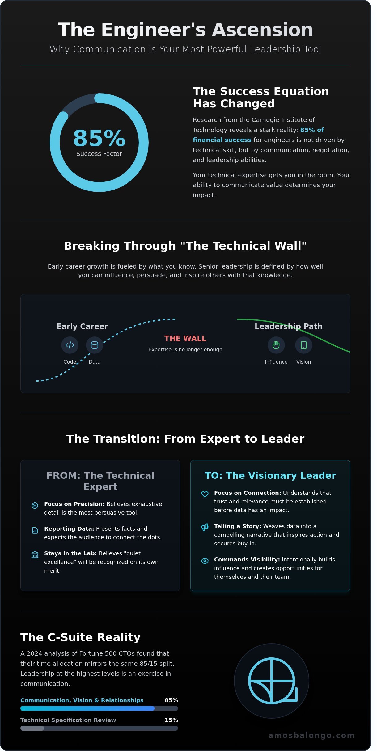 Public Speaking for Engineers: Mastering the Art of Influential Technical Leadership - Infographic