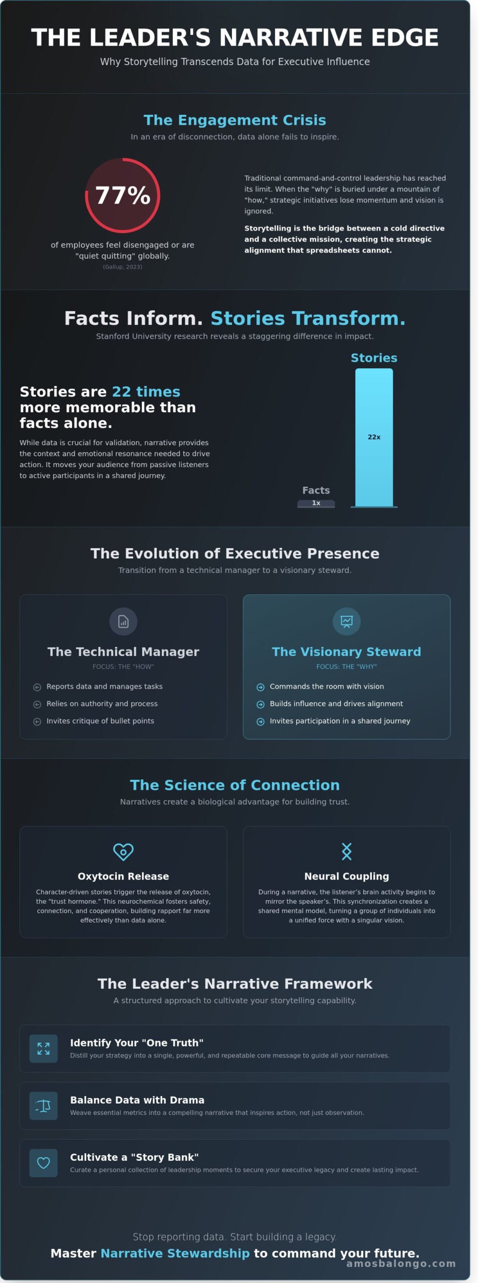 Storytelling for Leaders: The Executive Guide to Strategic Influence and Legacy - Infographic