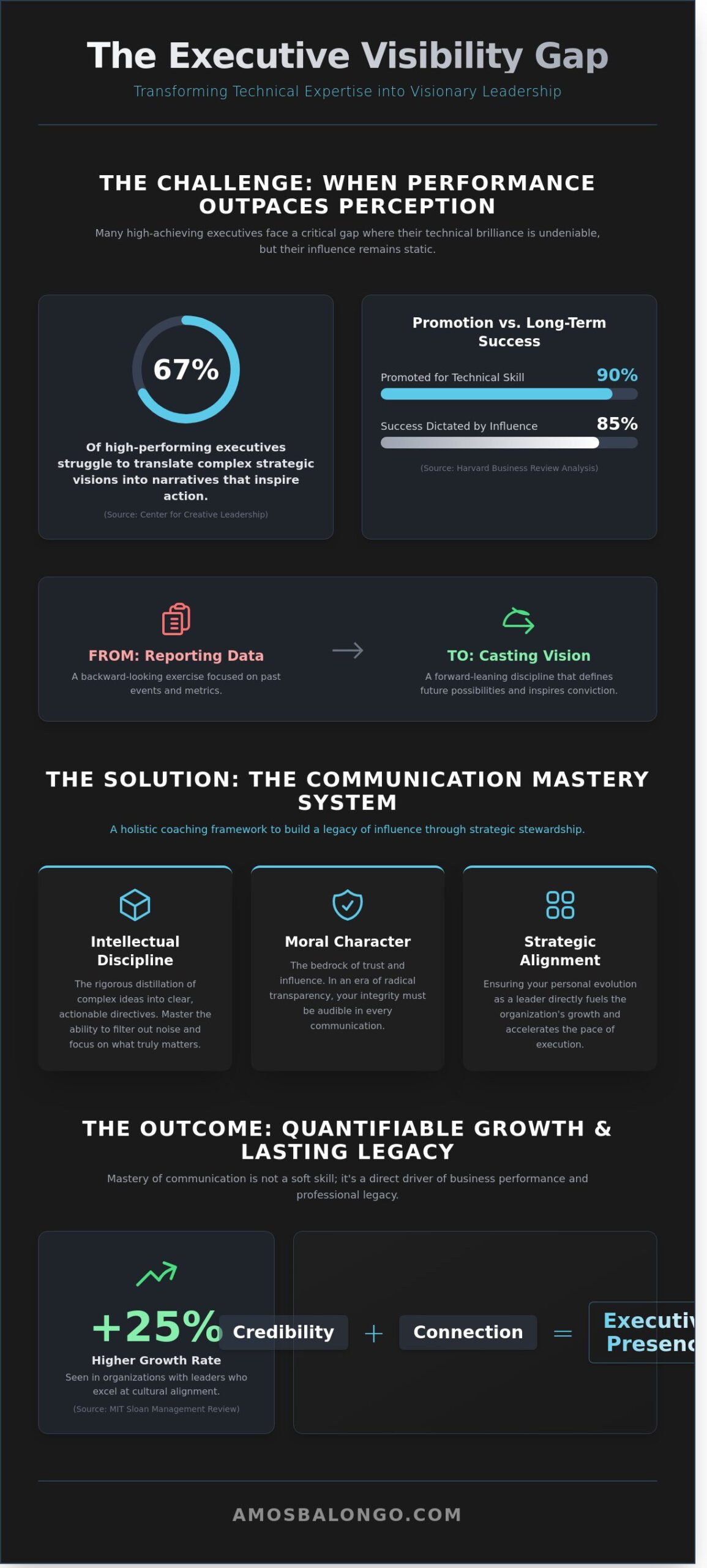 The Communication Coaching Program for Visionary Leaders: A Case Study in Strategic Stewardship - Infographic